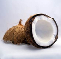 Organic Fractionated Coconut Oil